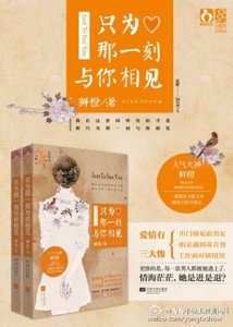 电视剧只为那一刻与你相见什么时候播出 主演是谁 剧情介绍