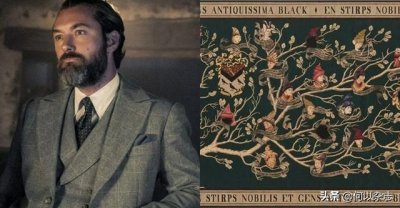 哈利波特巫师是如何产生的(哈利波特:关于巫师家族)