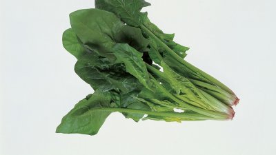 菠菜水泡黑色衣服步骤