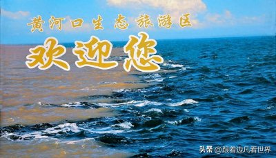 《山东行》泾渭分明的黄河入海口