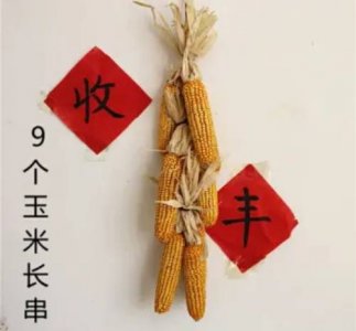 玉米的寓意是什么意思(玉米挂件有什么寓意)