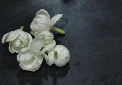 《只得一生》献给萧红,《海上花》写尽柔情,华语音乐的灯塔