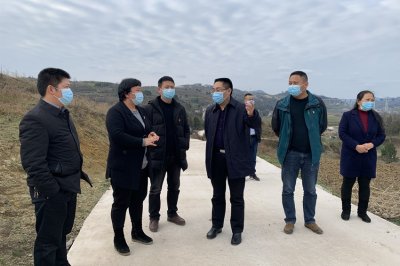 郭正勇到凤山镇调研