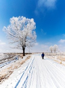 今年“冷冬”已经成为定局,要被冻到哭?看老祖宗的农谚怎么说