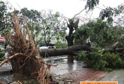 台风来了怎么办,台风来临时怎么办?教案