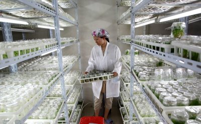 农村不愁销路的小型加工厂项目,总有一个适合你,看完赶紧收藏