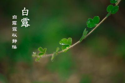 含碘高的食物有哪些适合孕妇吃(白怀孕的女人要多食5种食材,碘含量高,常吃助