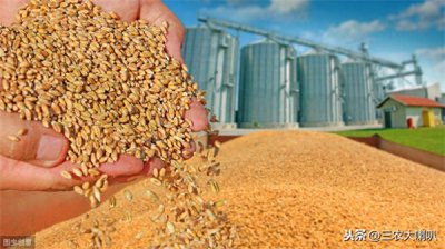 用什么方法可以长期保存小麦(麦子如何长期保存)