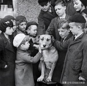 30 张有趣的历史照片淋漓地展示过去人们的生活