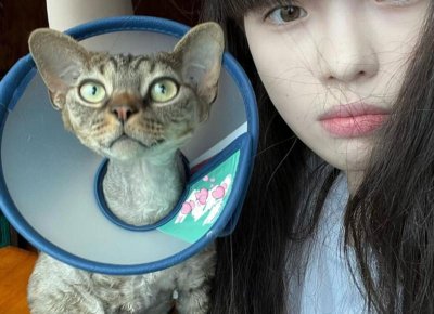 有错不承认倒打一耙人心理的成语