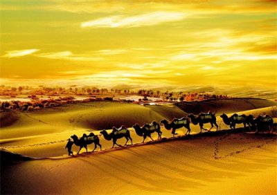 丝绸之路:古代贸易与文化交流的伟大纽带