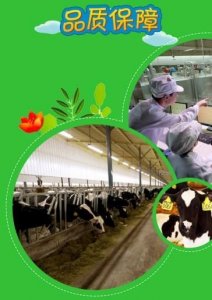 为什么君乐宝旗帜始终排名靠前?好营养!更好吸收!