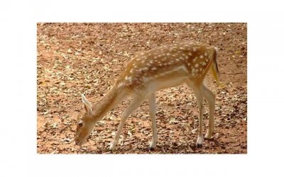 和男朋友吵架怎么道歉,用这几招向男友道歉让他更爱你