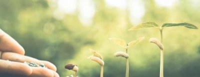 树脂胶补船的使用方法李宁泵上面涂什么胶水