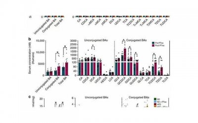 O型血金牛座人的性格特点和职业倾向