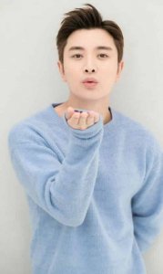 贾乃亮(中国内地影视男演员、歌手)