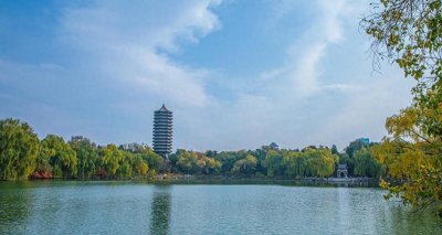 文科生最向往的10所大学:顶尖学府与就业前景深度解析