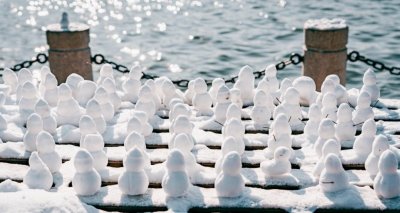 雪雪雪!北京将迎明显降雪!部分地区大雪!具体降雪时段>>