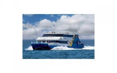 婚姻中妻子应该怎么做 怎样做好妻子经营婚姻