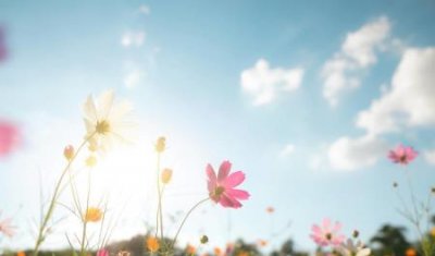 熊佛西校长的妻子有几个一年级毕业季上戏校训亲自题字