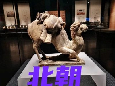 北朝:历史舞台上的"北方小霸王",你了解多少