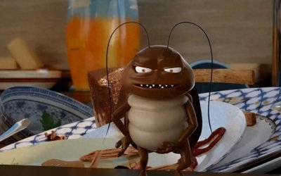 为什么“蟑螂不能踩死”?有何科学依据?这样做才有用