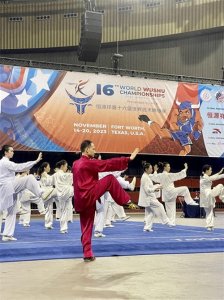 中国首位太极拳世锦赛冠军陈思坦:探索武术之道 传承武术之魂