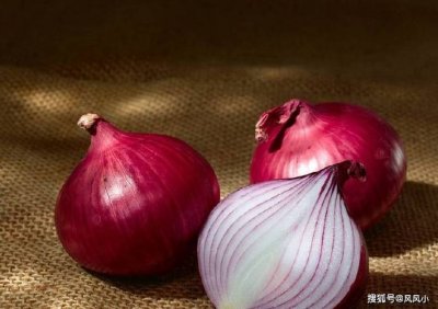 三类人不能吃洋葱(哪三类人不能吃洋葱)